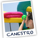 Noleggio Gioco Gonfiabile Giraffa foto 5