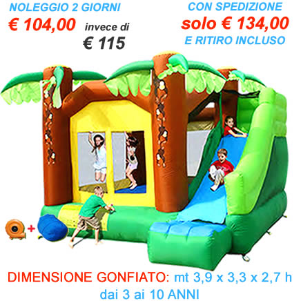 Gonfiabili e Giochi per bambini - Scivolo Gonfiabile 