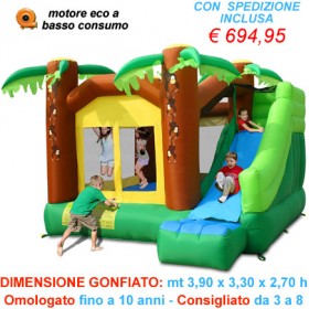 Gonfiabile Jungle Climb